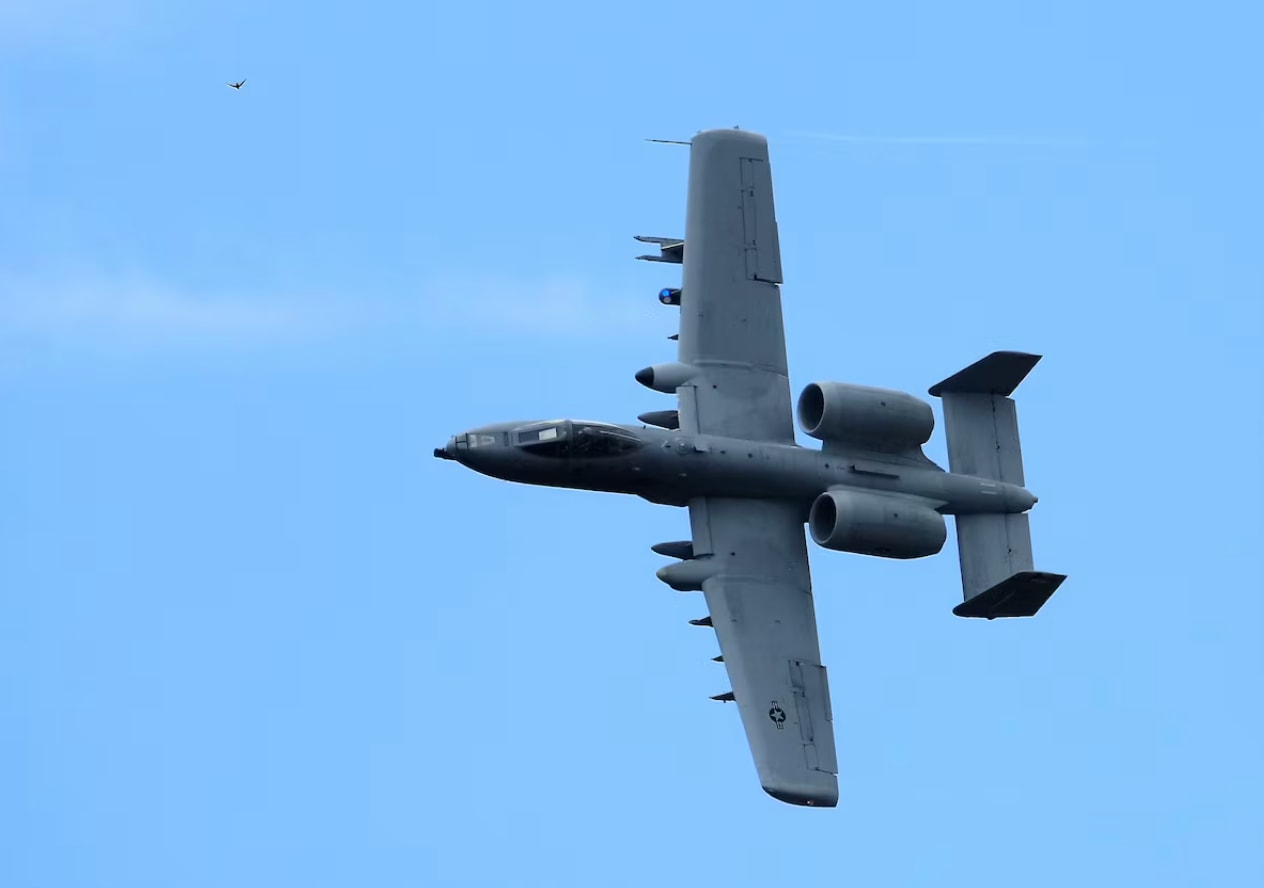 Cường kích A-10 Thunderbolt II được biết đến rộng rãi với biệt danh “Lợn lòi” (Warthog). (Nguồn: Reuters)