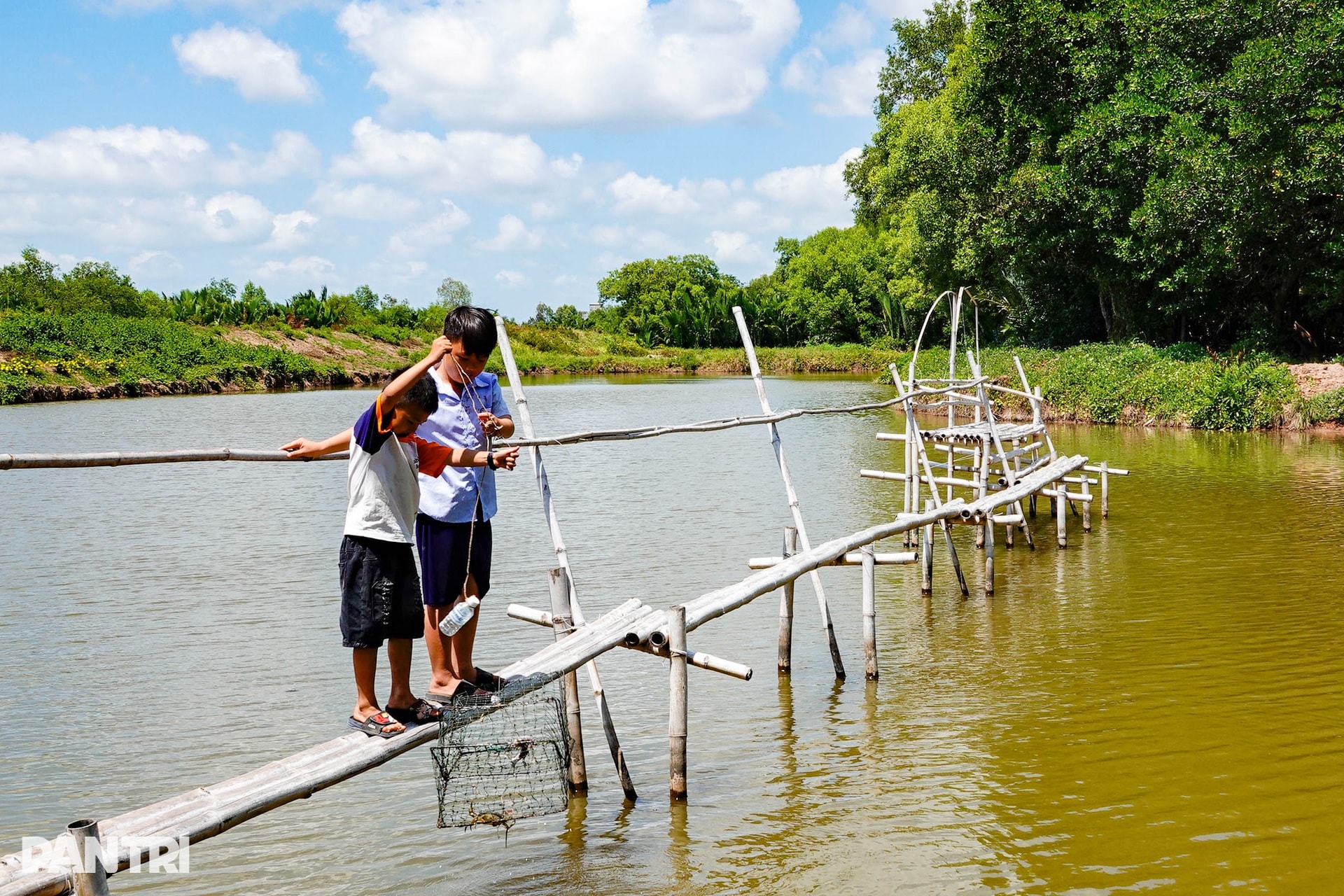 Khám phá đảo khỉ ở khu rừng ngập nước lớn nhất miền Tây - 10