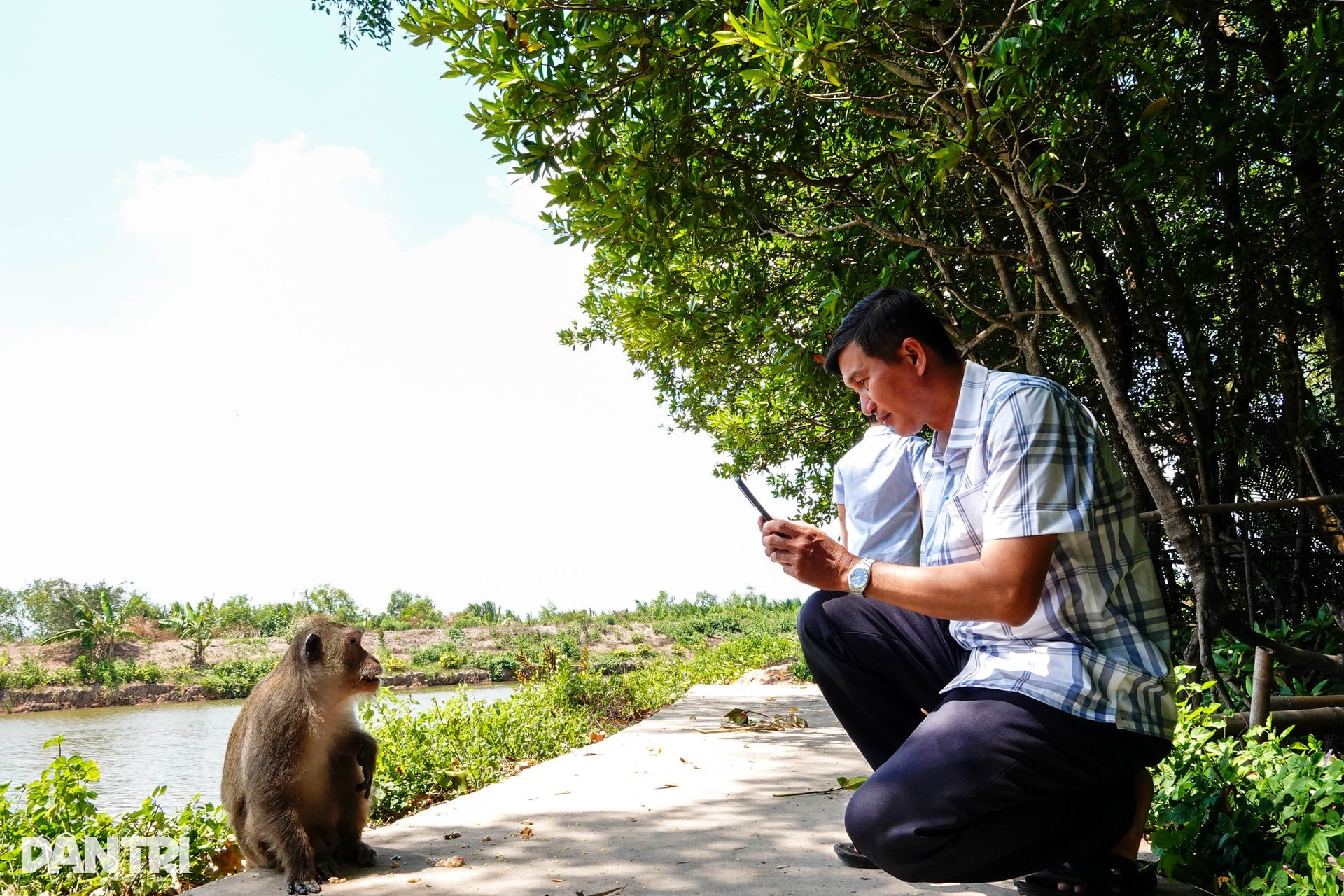 Khám phá đảo khỉ ở khu rừng ngập nước lớn nhất miền Tây - 1