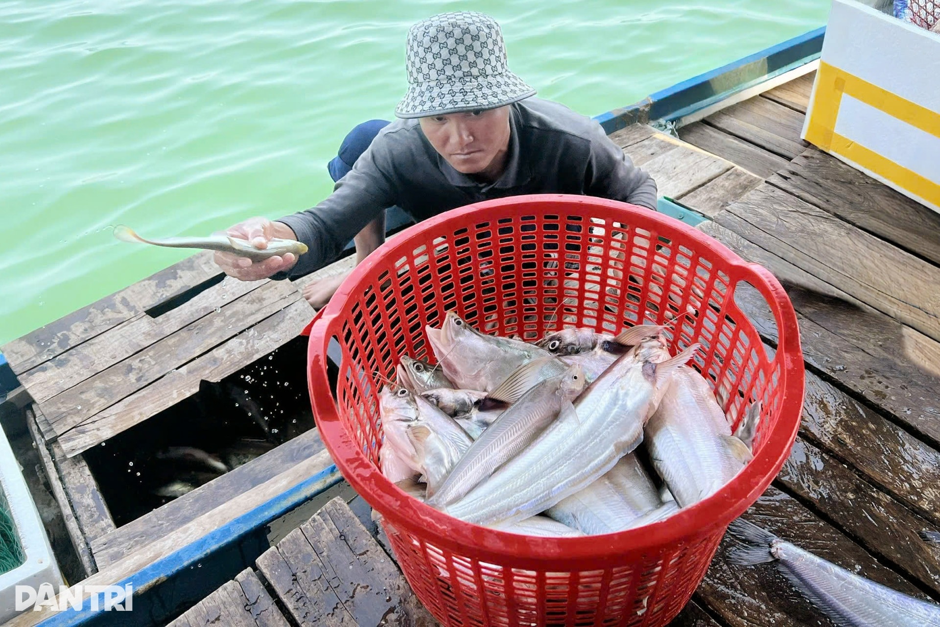 Những người làm nghề “chân không chạm đất” - 8 Những người làm nghề “chân không chạm đất” - 8