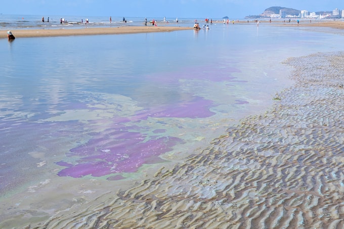Khi thủy triều rút váng nước màu hồng, xanh. Ảnh: Trường Hà