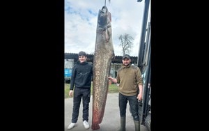 Người phụ nữ 50 tuổi "chết não" bỗng tỉnh lại khi xe cấp cứu xóc nảy vì vấp ổ gà - Ảnh 3.