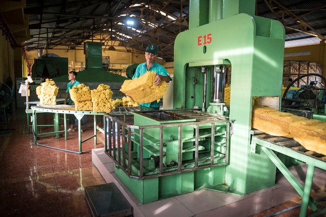 VRG quyết liệt thực hiện Nghị quyết 79 về phát triển kinh tế Nhà nước năm 2026 - Ảnh 1.