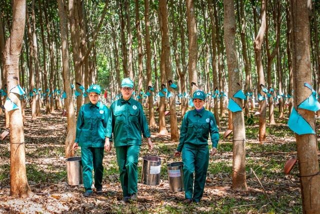 VRG quyết liệt thực hiện Nghị quyết 79 về phát triển kinh tế Nhà nước năm 2026 - Ảnh 5.