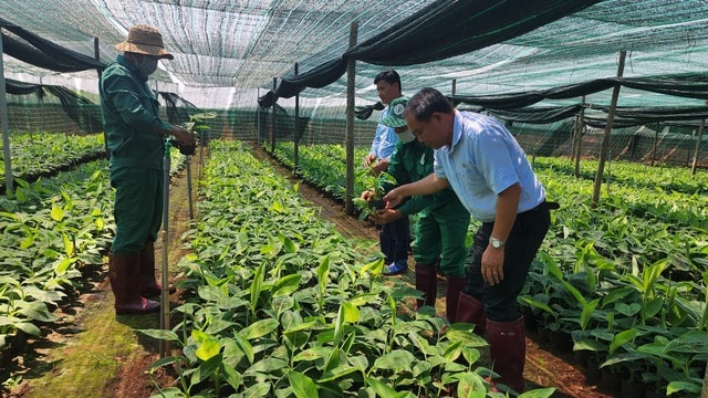 VRG quyết liệt thực hiện Nghị quyết 79 về phát triển kinh tế Nhà nước năm 2026 - Ảnh 4.