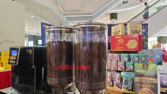 Giá cà phê hôm nay 4 - 4: Xu hướng giảm và ảnh hưởng đến nông dân - Ảnh 4.