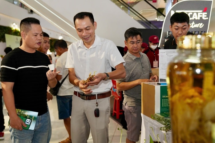 Lần đầu tiên có Liên minh cà phê chế biến sâu Việt Nam - Ảnh 3.