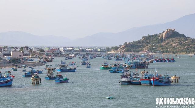 Đến chợ Nại, cảm nhận nhịp sống mặn mòi của làng biển trăm năm- Ảnh 1.