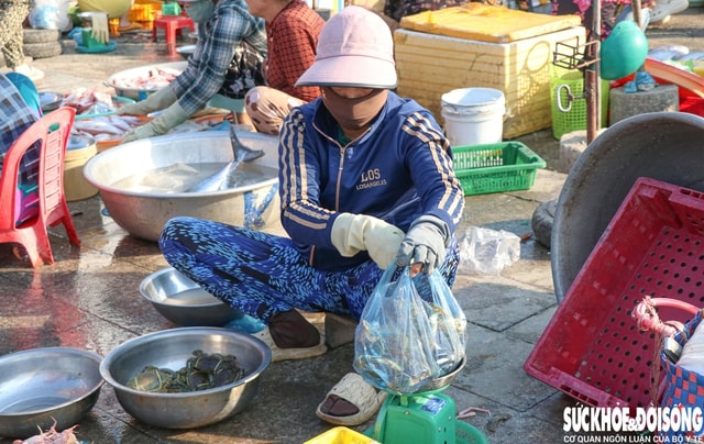 Đến chợ Nại, cảm nhận nhịp sống mặn mòi của làng biển trăm năm- Ảnh 5.