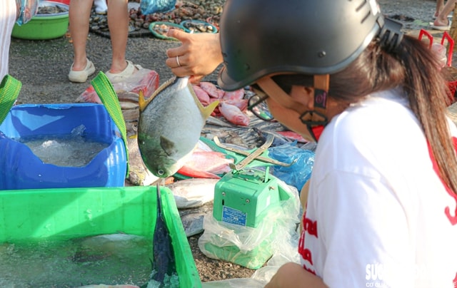 Đến chợ Nại, cảm nhận nhịp sống mặn mòi của làng biển trăm năm- Ảnh 7.