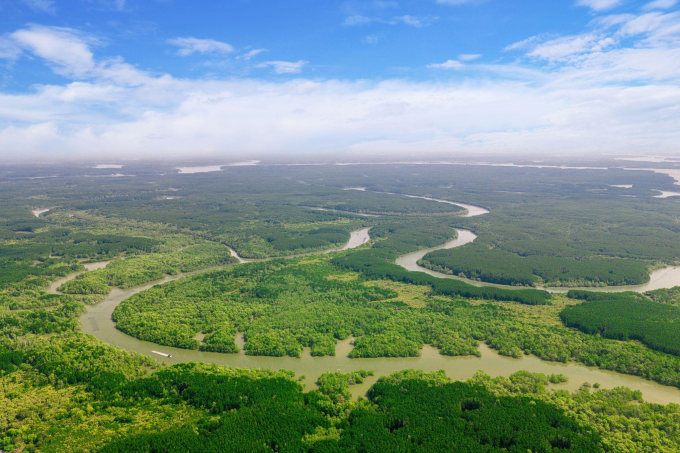 Khu dự trữ sinh quyển Cần Giờ. Ảnh: Vingroup