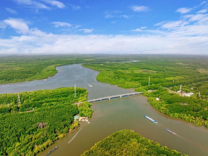 Hệ sinh thái rừng, sông tại cần Giờ. Ảnh: Vingroup