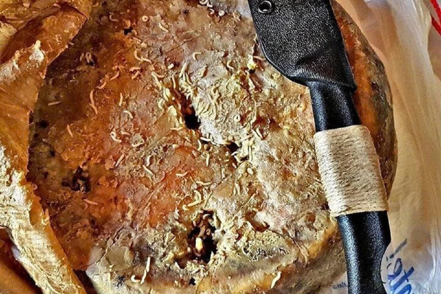 Món ăn "kinh dị nhất thế giới" khiến du khách phải... khóc thét khi thấy giòi bật nhảy cao tới 15cm - Ảnh 1.