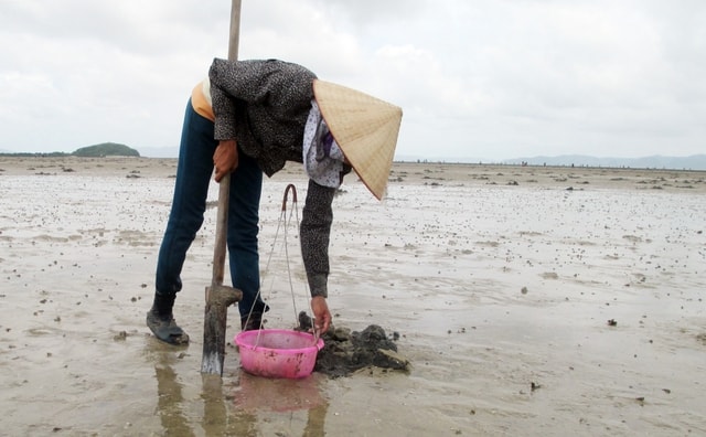 Sản vật tiến vua có giá vài triệu đồng/kg được dân địa phương gọi là "vị thần" của các món nước- Ảnh 5.