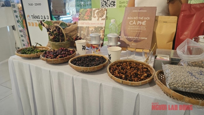 Giá cà phê hôm nay 5 - 4 và kịch bản giảm giá trong năm 2026 - Ảnh 3.