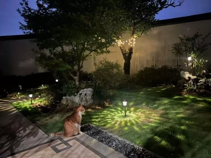 Khu vườn của Zhang Yue ở Hàng Châu. Ảnh: Wenxuacity