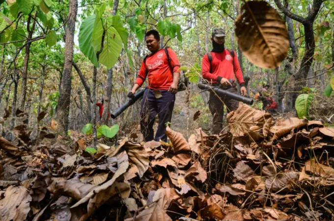 Các lính cứu hỏa tình nguyện sử dụng máy thổi lá để tạo ra các đường ngăn lửa cháy trong một khu rừng ở thị trấn Pai, miền Bắc Thái Lan, đầu tháng 4. Ảnh: ANTHONY WALLACE/AFP