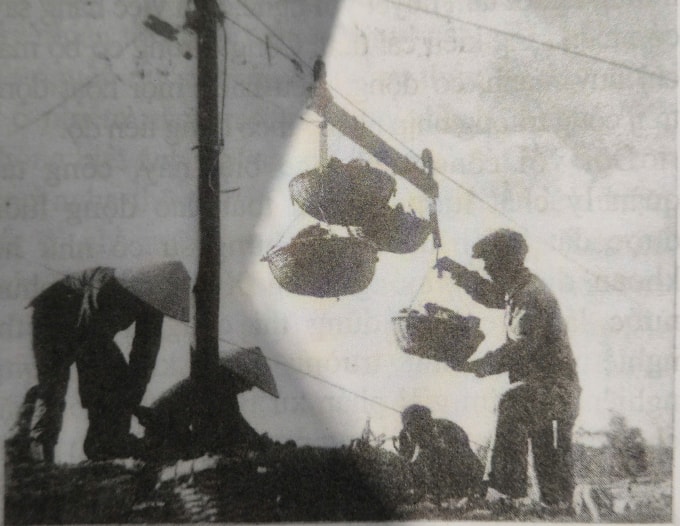 Chuyển gạch vào công trường Bắc Hưng Hải. Ảnh: Bộ Nông nghiệp và Môi trường