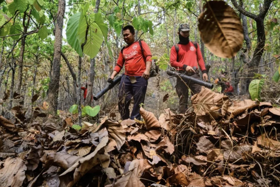 Các lính cứu hỏa tình nguyện viên phải làm việc trong tình trạng hỗ trợ thiếu thốn, chủ yếu chỉ có nước và khẩu trang