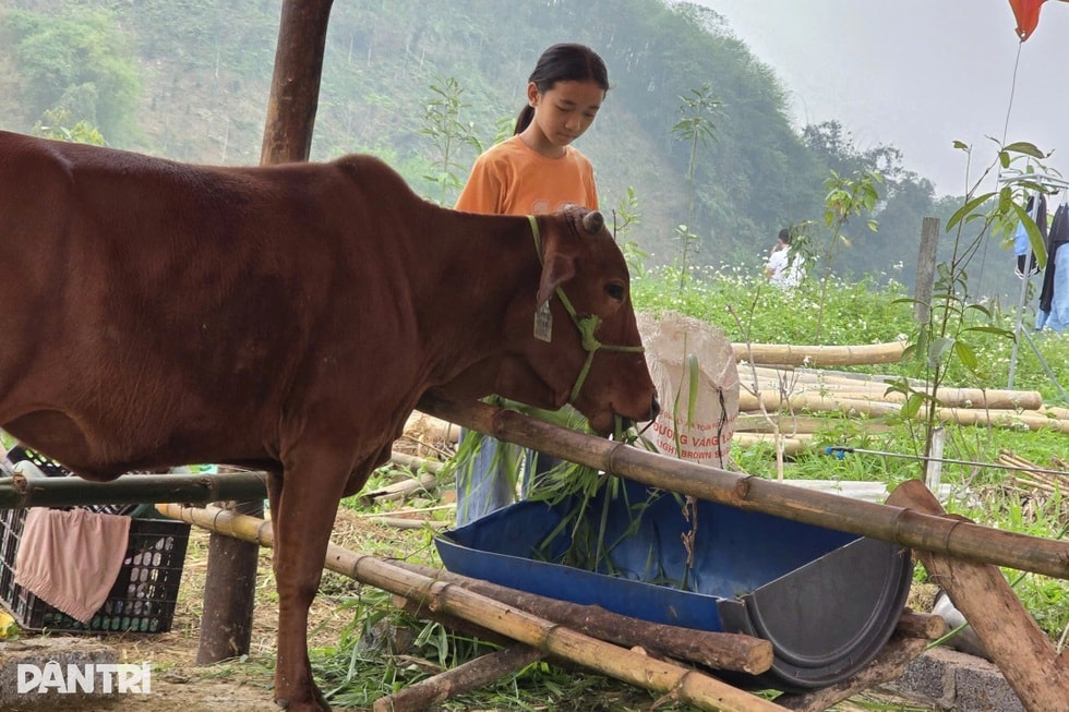 Ước mơ tưởng chừng xa vời của mẹ con em đã thành sự thật - 3