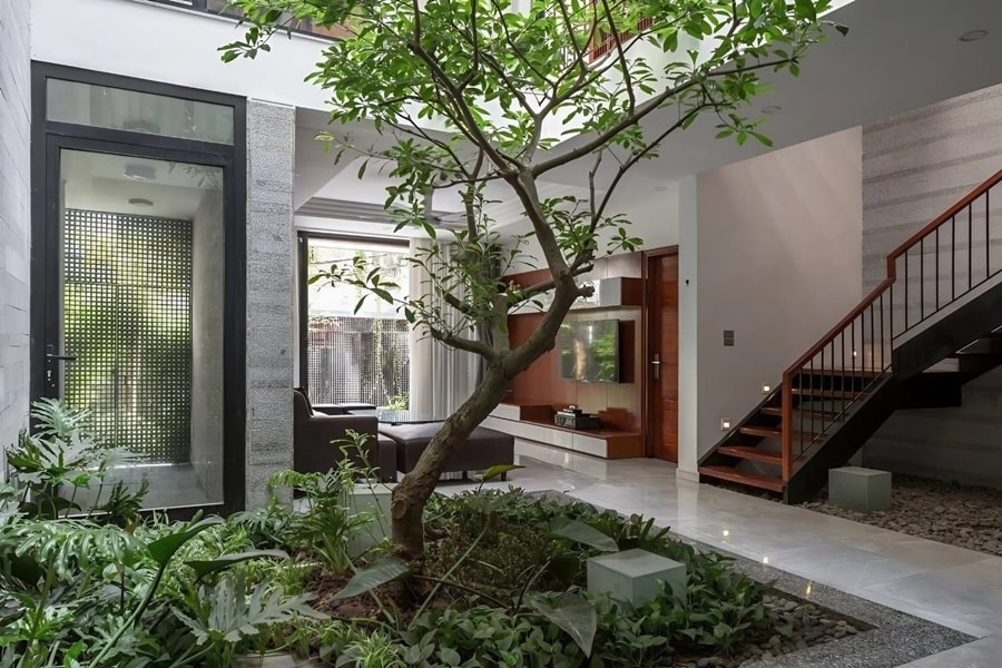 Trồng cây dưới giếng trời là cách đưa thiên nhiên vào nhà phổ biến. (Ảnh: Sbs villa)