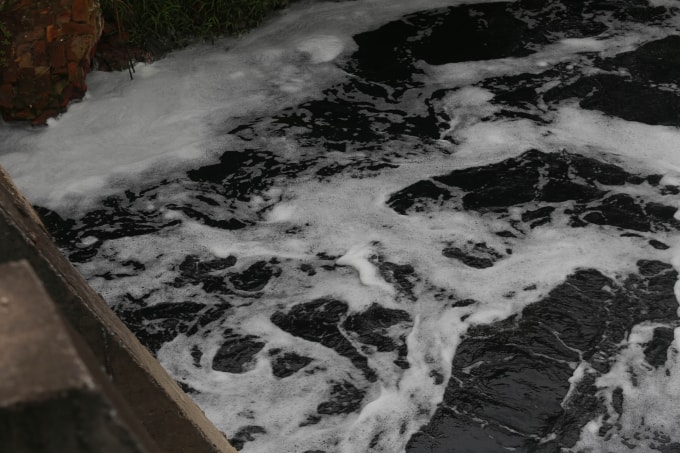 Ngoài tưới Bắc Hưng Hải ngày nay còn phải tiếp nhận nước thải lớn. Ảnh: Gia Chính