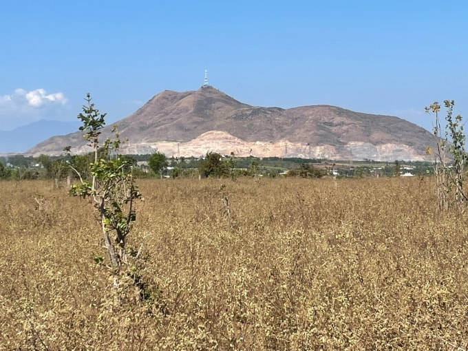 Toàn cảnh núi Tà Zôn. Ảnh: Việt Quốc