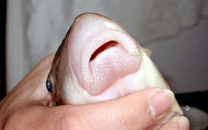 Chân dung tài xế taxi công nghệ bỏ cuốc xe, ứng tiền giúp nữ hành khách cấp cứu trong đêm - Ảnh 4.