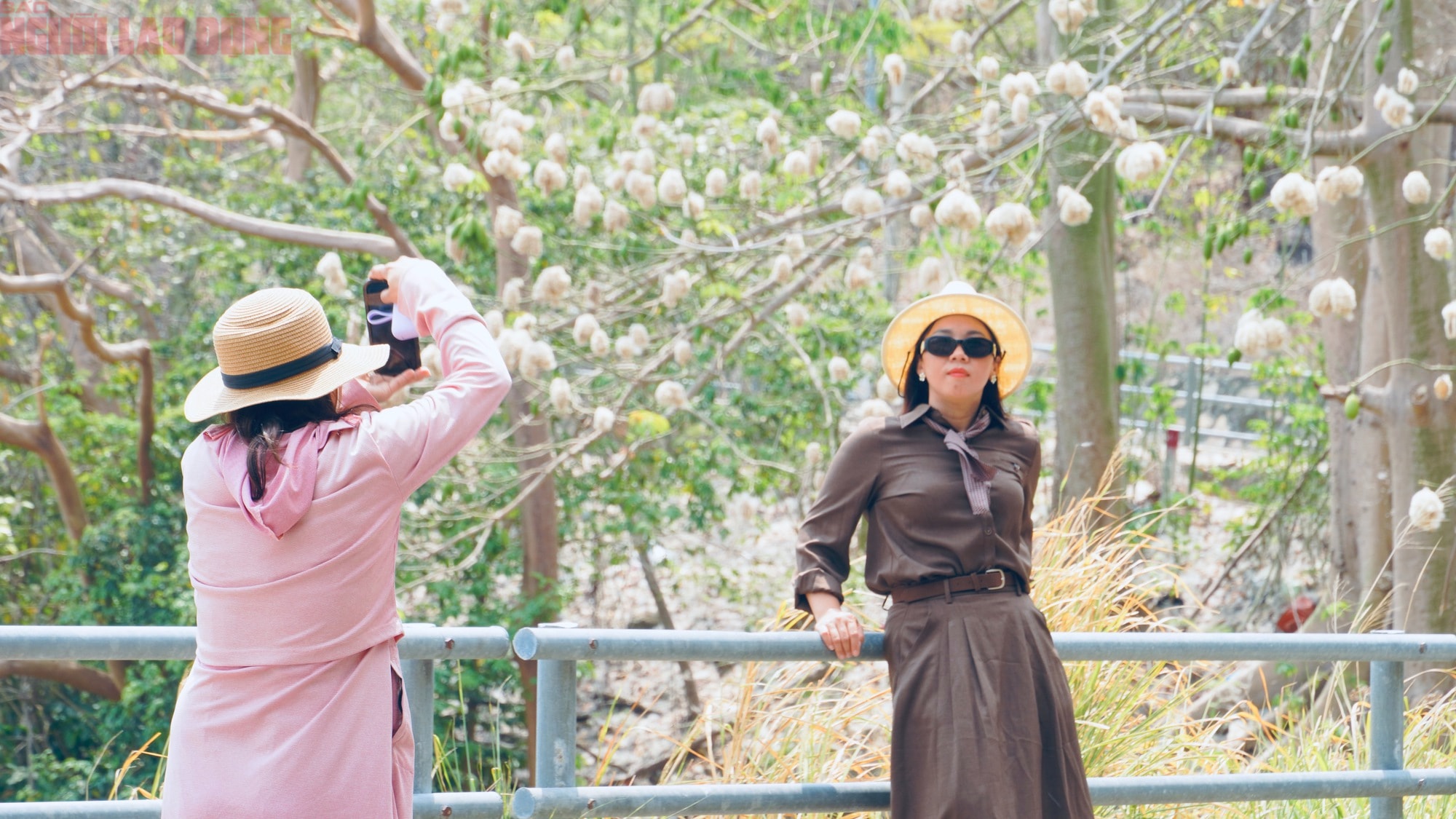 Bông gòn nở rộ "gây sốt", hút khách ở Vũng Tàu - Ảnh 3.