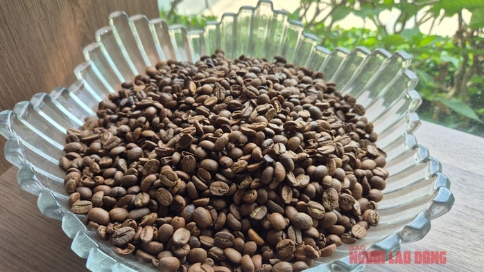 Giá cà phê hôm nay 8-4: Cả hai sàn đỏ lửa, Robusta xuống đáy 8 tháng - Ảnh 1.