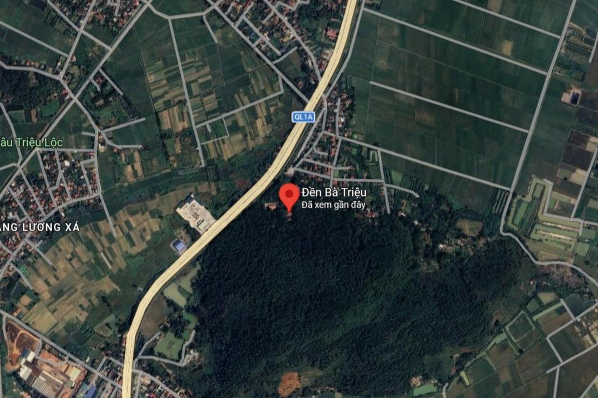 Du khách thích thú chiêm ngắm trống đồng khổng lồ ở lễ hội đền Bà Triệu - 12 Du khách thích thú chiêm ngắm trống đồng khổng lồ ở lễ hội đền Bà Triệu - 12