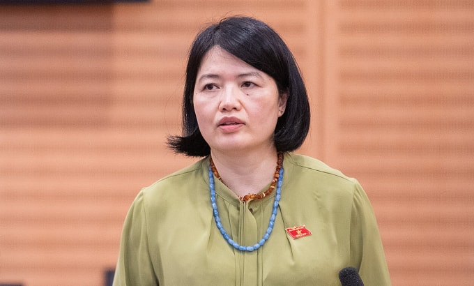 Đại biểu chuyên trách Ủy ban Văn hóa và Xã hội Nguyễn Thị Mai Thoa. Ảnh: Hoàng Phong