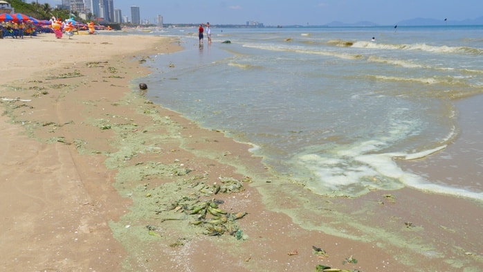 - Ảnh 2. - Ảnh 2.