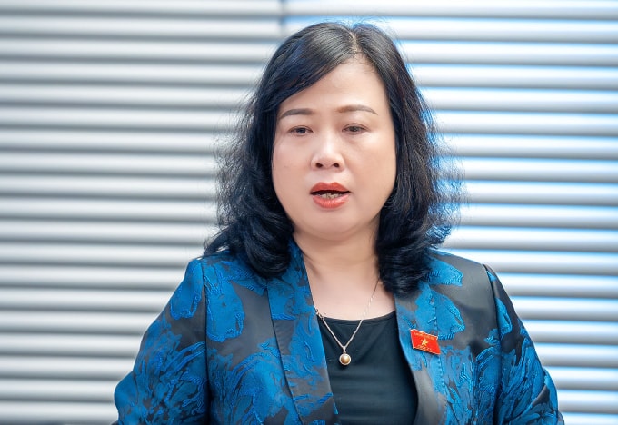 Bộ trưởng Y tế Đào Hồng Lan phát biểu tại họp tổ. Ảnh: Hoàng Phong