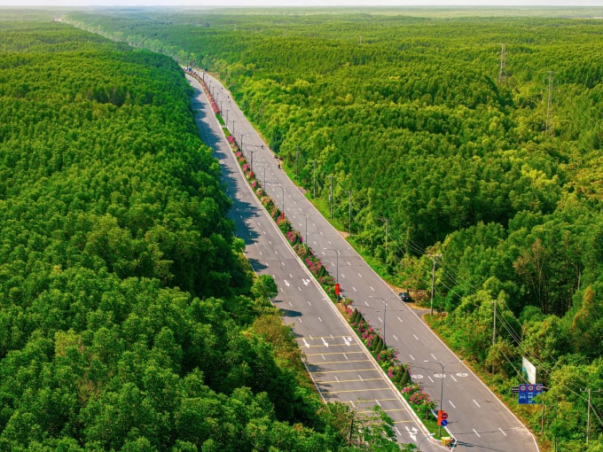 Cung đường rừng Sác. Ảnh: Vingroup