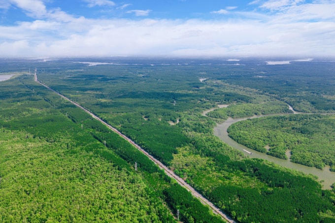 Khu dự trữ sinh quyển Cần Giờ. Ảnh: Vingroup