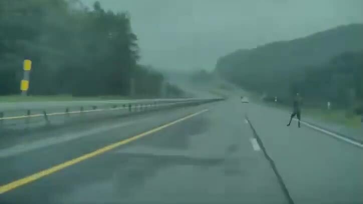 Elon Musk tán dương hệ thống lái tự động, phàn nàn về kiện tụng