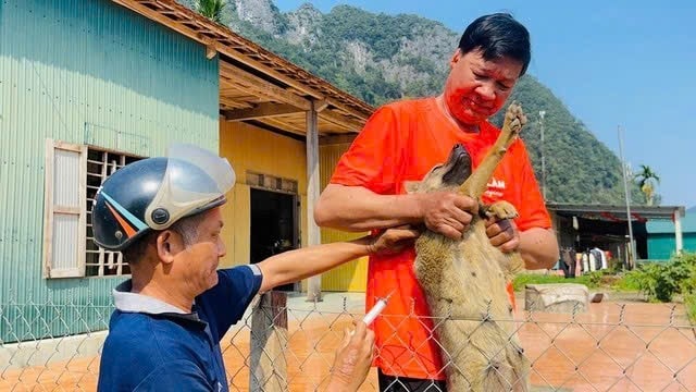 Đẩy mạnh phòng, chống bệnh dại có nguy cơ tăng cao mùa nắng nóng- Ảnh 2. Đẩy mạnh phòng, chống bệnh dại có nguy cơ tăng cao mùa nắng nóng- Ảnh 2.
