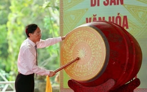 Trồng dược liệu trên thân cau, lão nông Thanh Hóa mở hướng làm kinh tế mới - Ảnh 9.