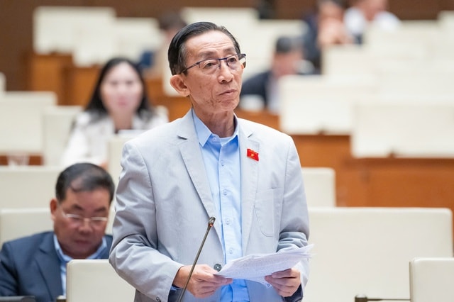 Đại biểu đề xuất giảm thuế với xăng, dầu về 0 đến hết tháng 9/2026 - Ảnh 2.