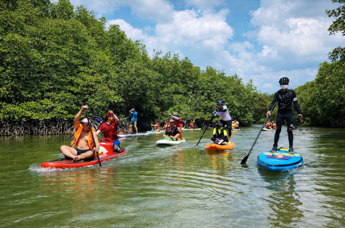 Chèo SUP ở Cần Giờ. Ảnh: Lee Lương