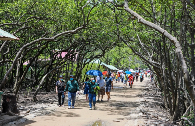 Đường đi bộ trong đảo khỉ. Ảnh: Quỳnh Trần