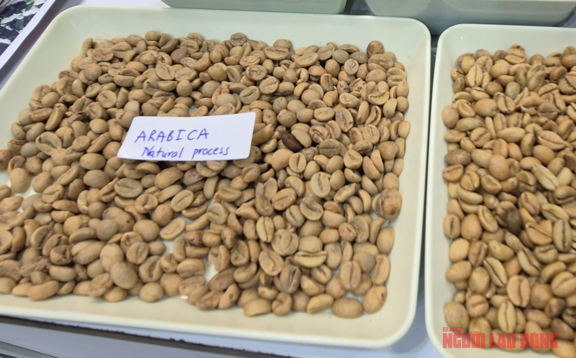 Giá cà phê hôm nay tăng mạnh , Việt Nam vượt Brazil về xuất khẩu tháng 3 - 2026 - Ảnh 2.