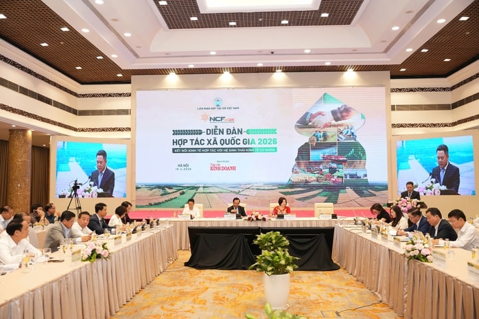 "Bắt tay" phát triển chuỗi giá trị bền vững - Ảnh 1.