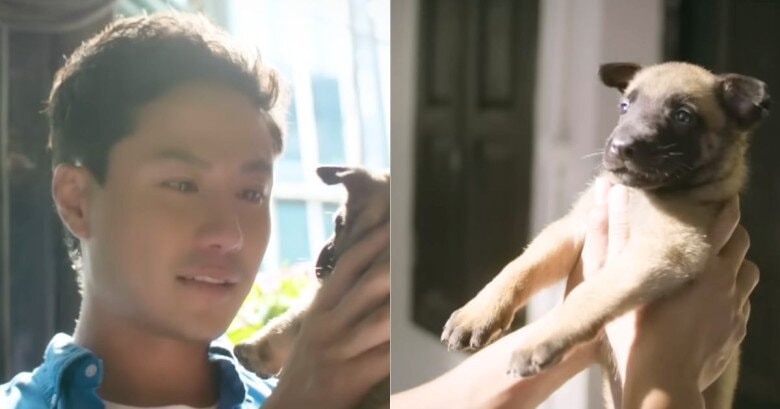 Cái kết đẹp cho Thanh Sơn và Hoàng Hà, khán giả bật khóc cầu mong một điều- Ảnh 12. Cái kết đẹp cho Thanh Sơn và Hoàng Hà, khán giả bật khóc cầu mong một điều- Ảnh 12.