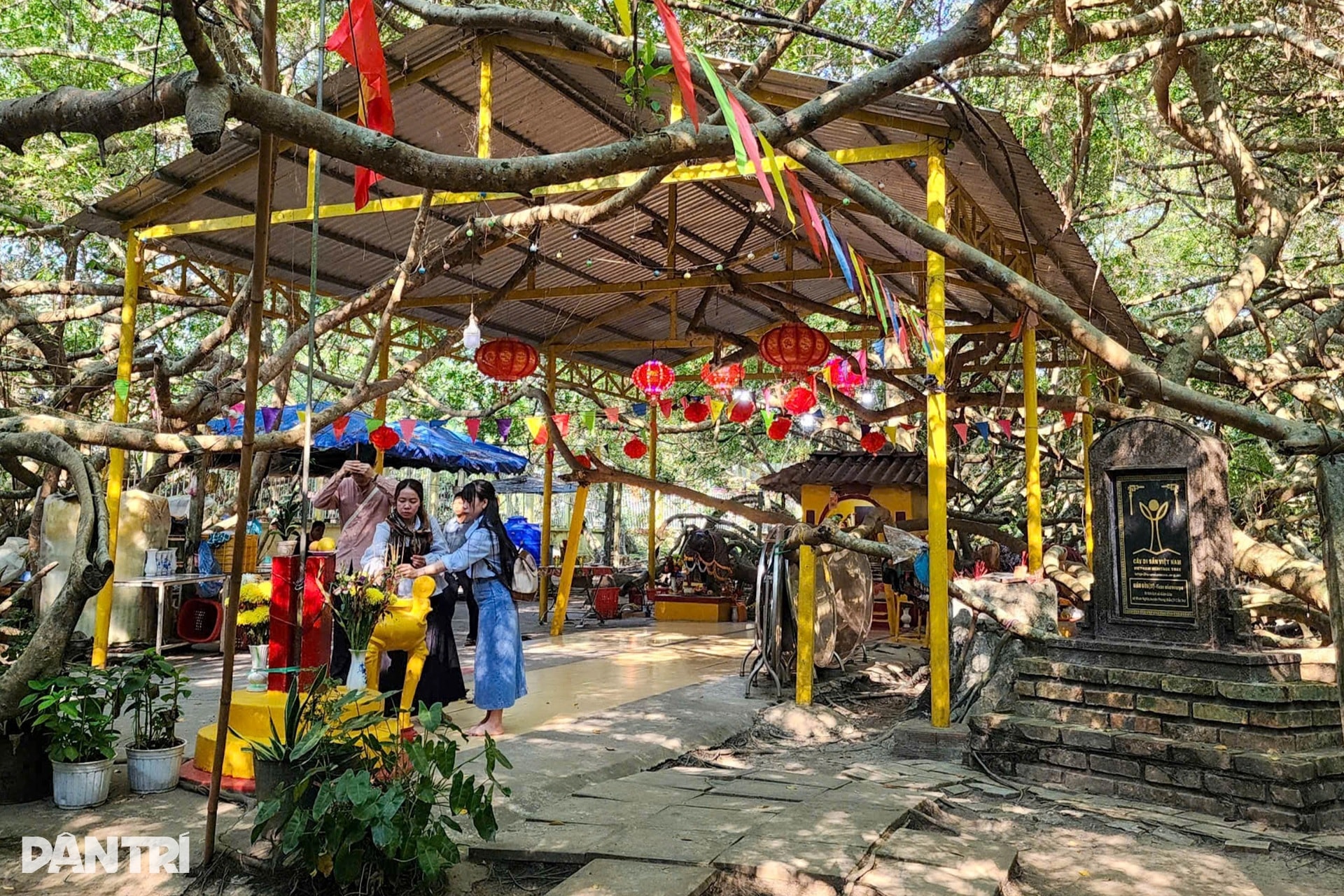 Nét đẹp ma mị của Giàn Gừa trăm tuổi từng là nơi “che bộ đội” ở Tây Đô - 6