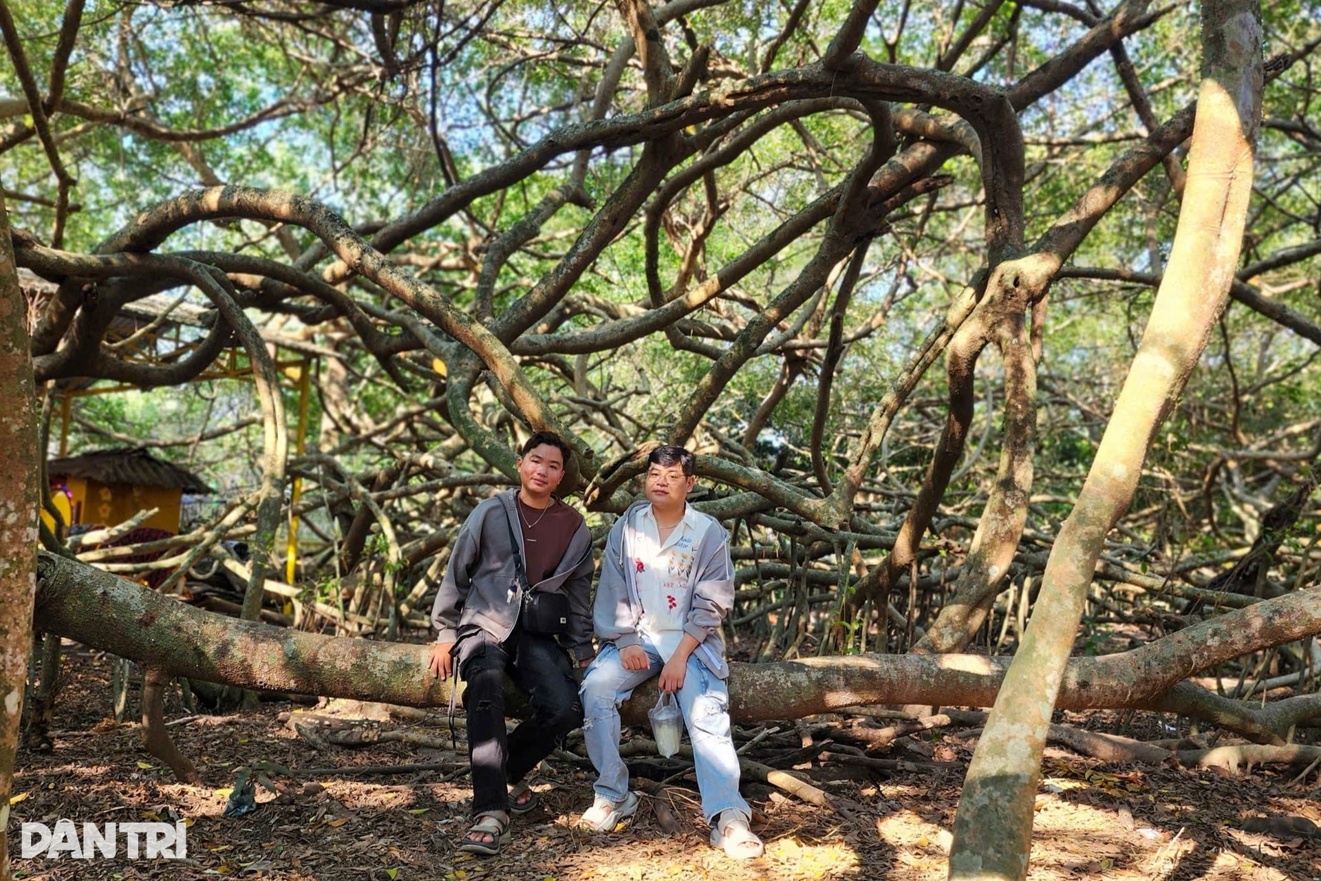 Nét đẹp ma mị của Giàn Gừa trăm tuổi từng là nơi “che bộ đội” ở Tây Đô - 8