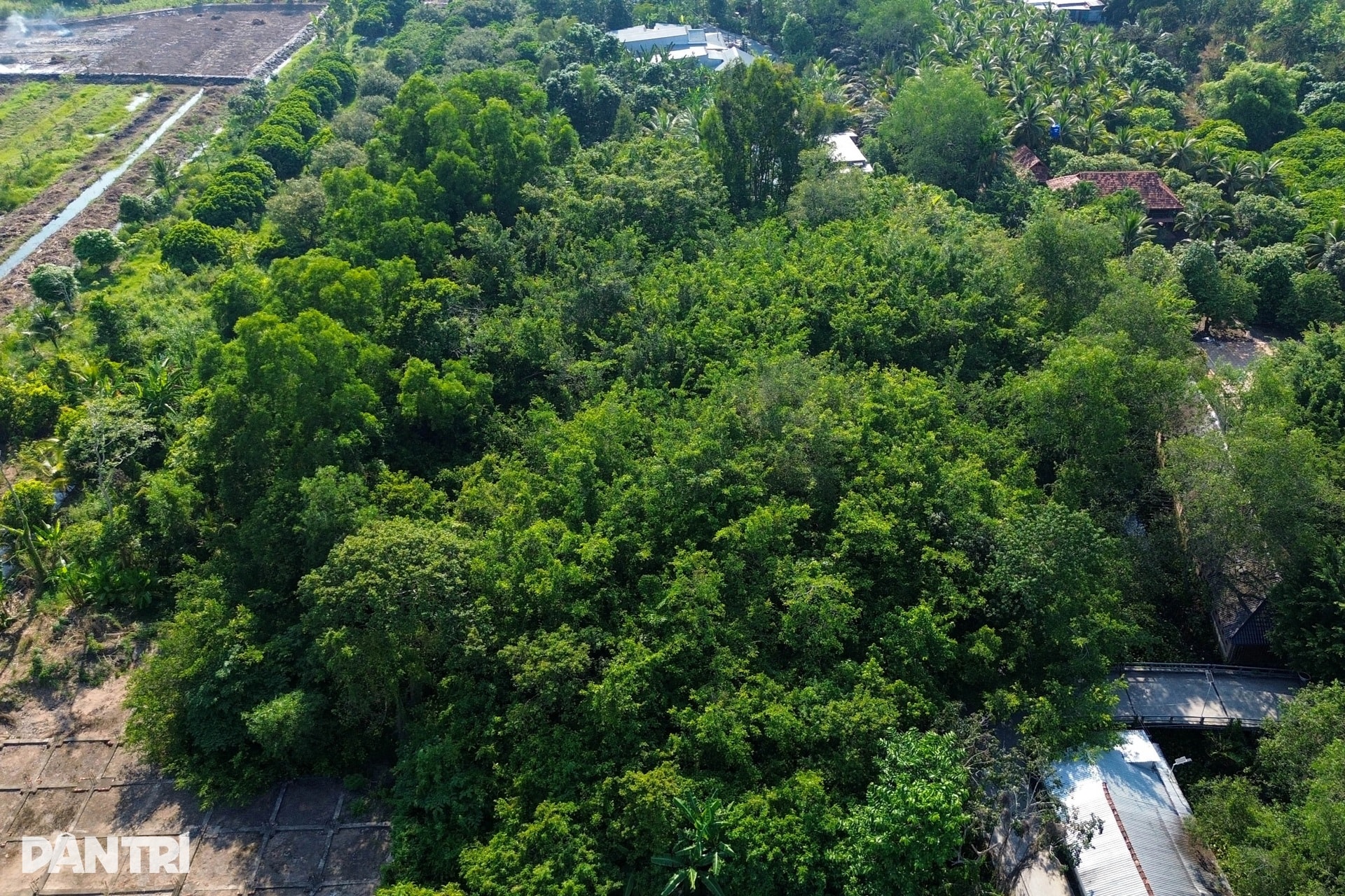 Nét đẹp ma mị của Giàn Gừa trăm tuổi từng là nơi “che bộ đội” ở Tây Đô - 10