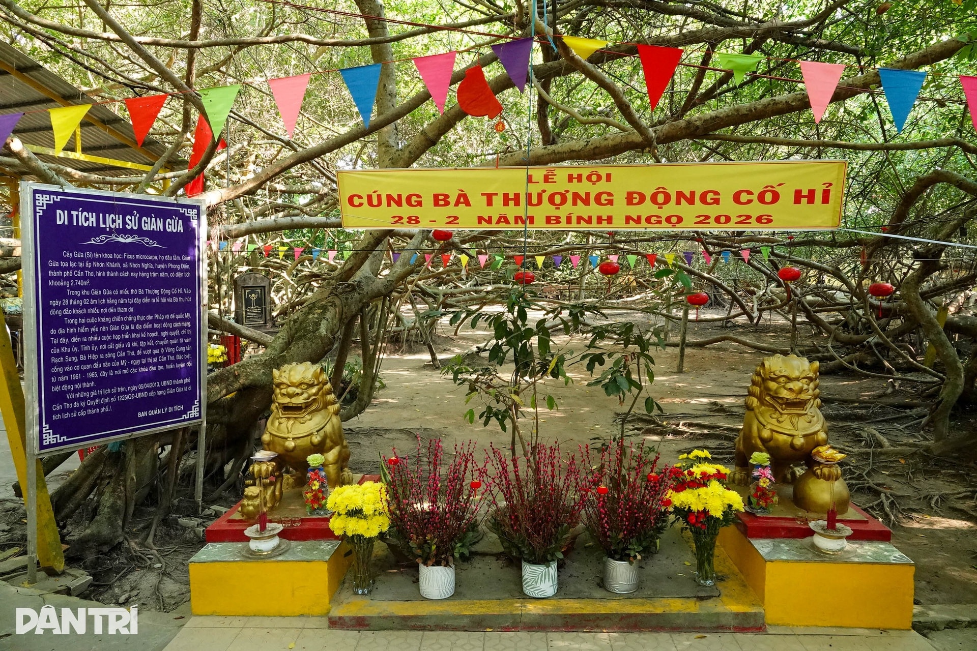 Nét đẹp ma mị của Giàn Gừa trăm tuổi từng là nơi “che bộ đội” ở Tây Đô - 5