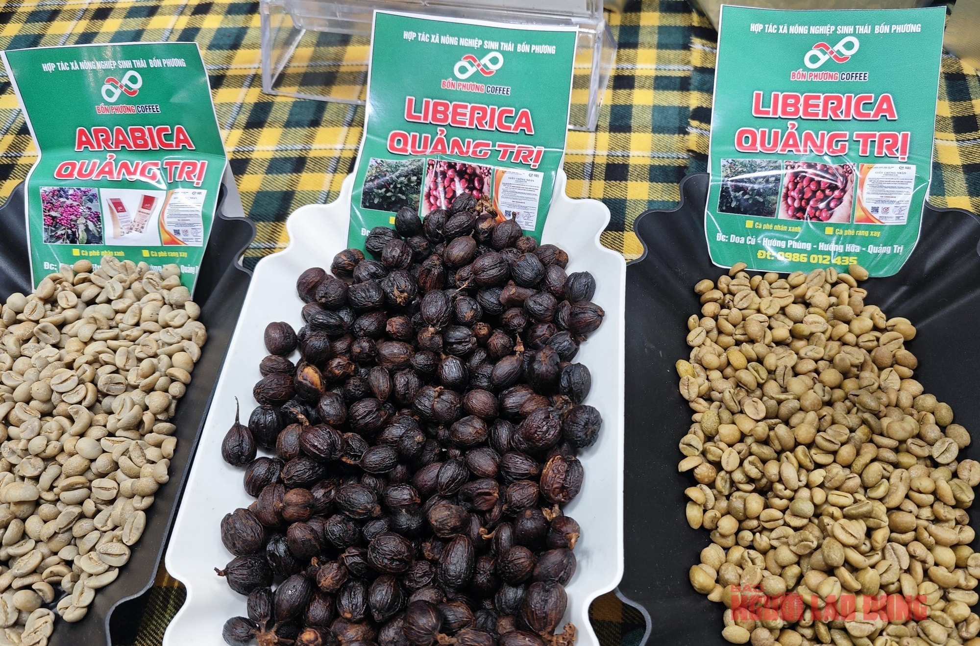 Giá cà phê hôm nay 12 - 4: Robusta giảm sâu , tương lai ngành cà phê 2026 - Ảnh 3.